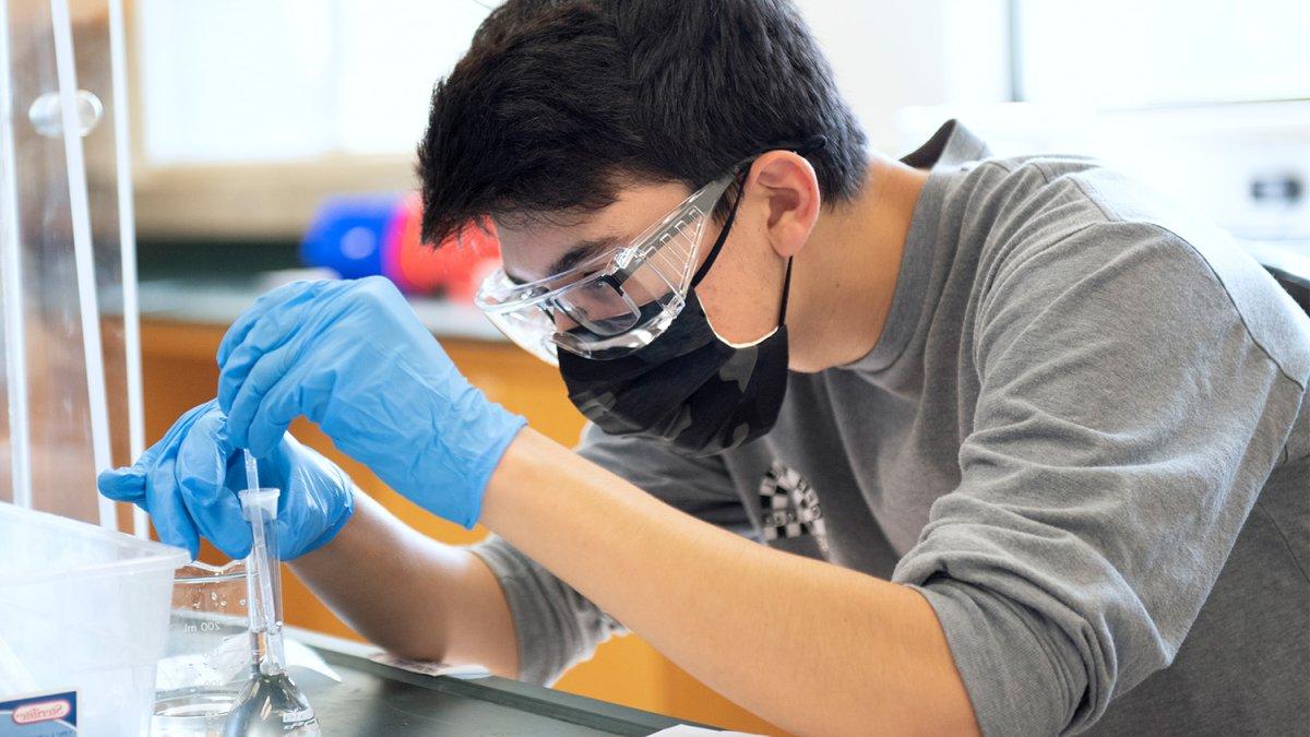 student attends to science experiment